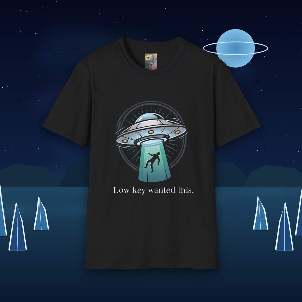 Alien Abduction T-Shirt — "Low Key Wanted This" UFO Graphic Tee