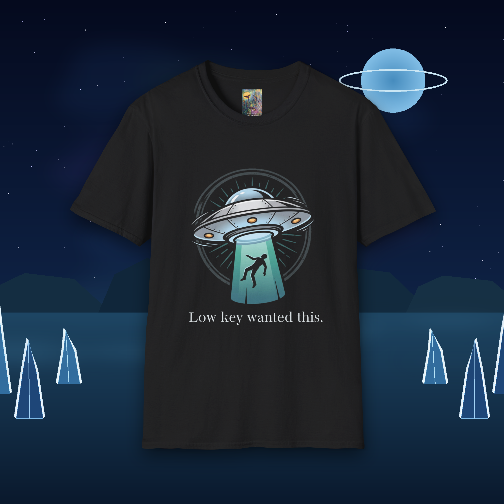 Alien Abduction T-Shirt — "Low Key Wanted This" UFO Graphic Tee