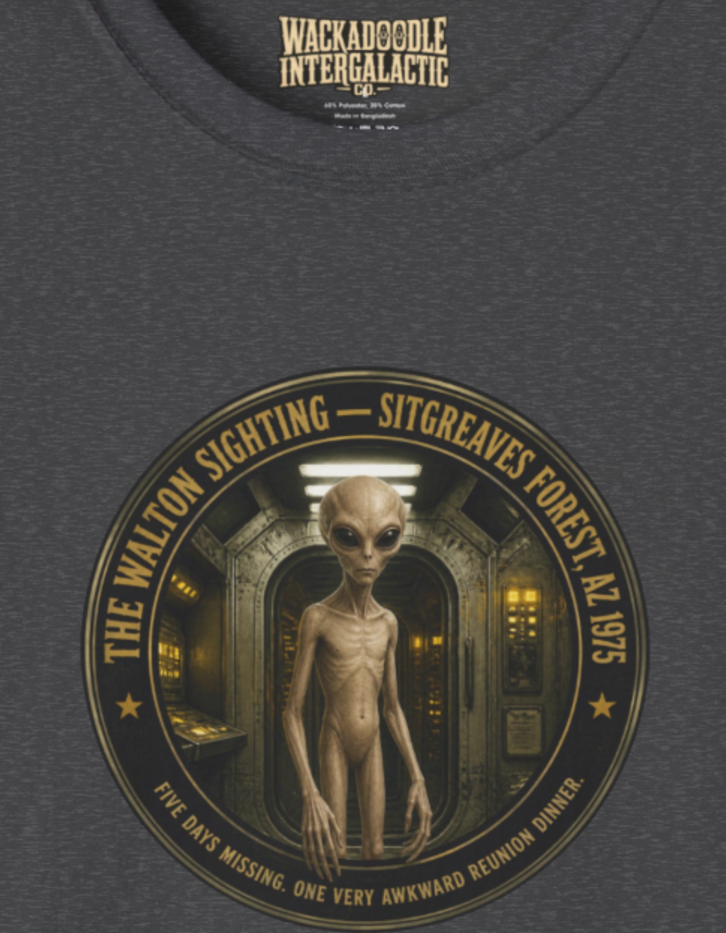Alien Abduction Graphic T-Shirt — 'The Missing: Stigmade's Project' Sci‑Fi Tee