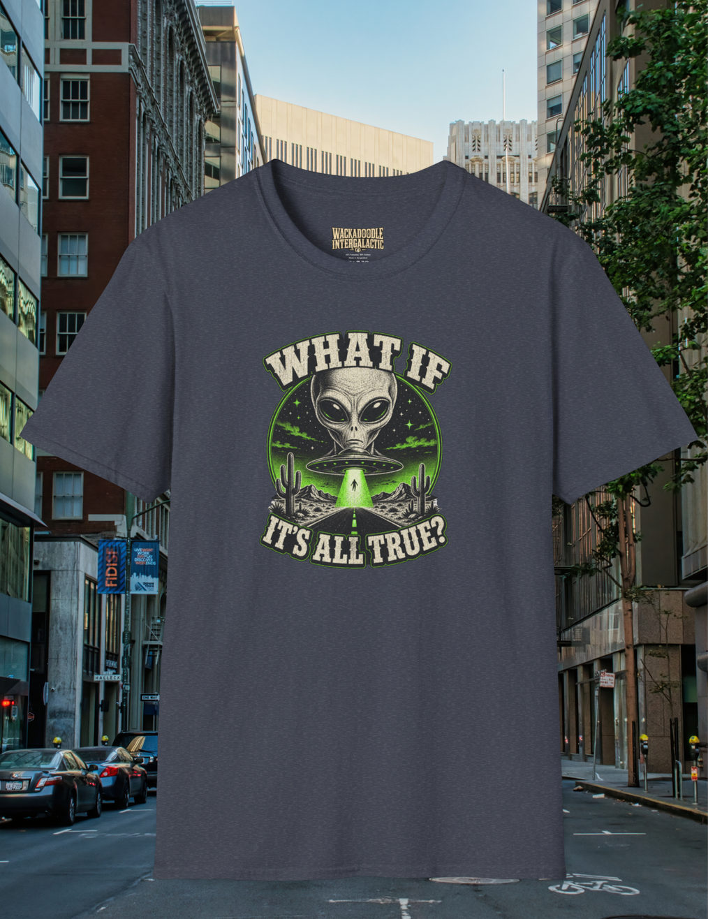 What If It's All True? T-Shirt