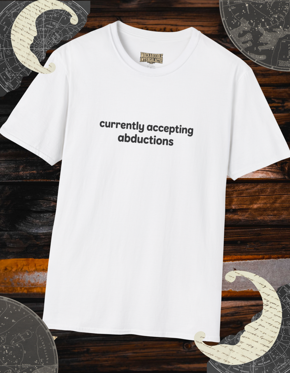 T-Shirt — "currently accepting abductions" Minimal Funny Graphic Tee
