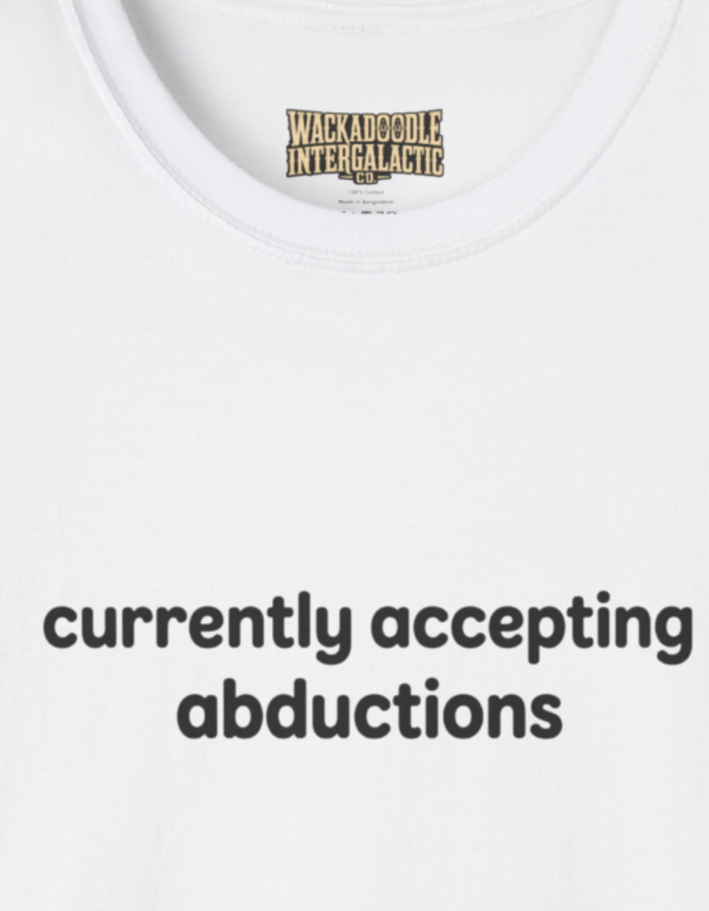 T-Shirt — "currently accepting abductions" Minimal Funny Graphic Tee