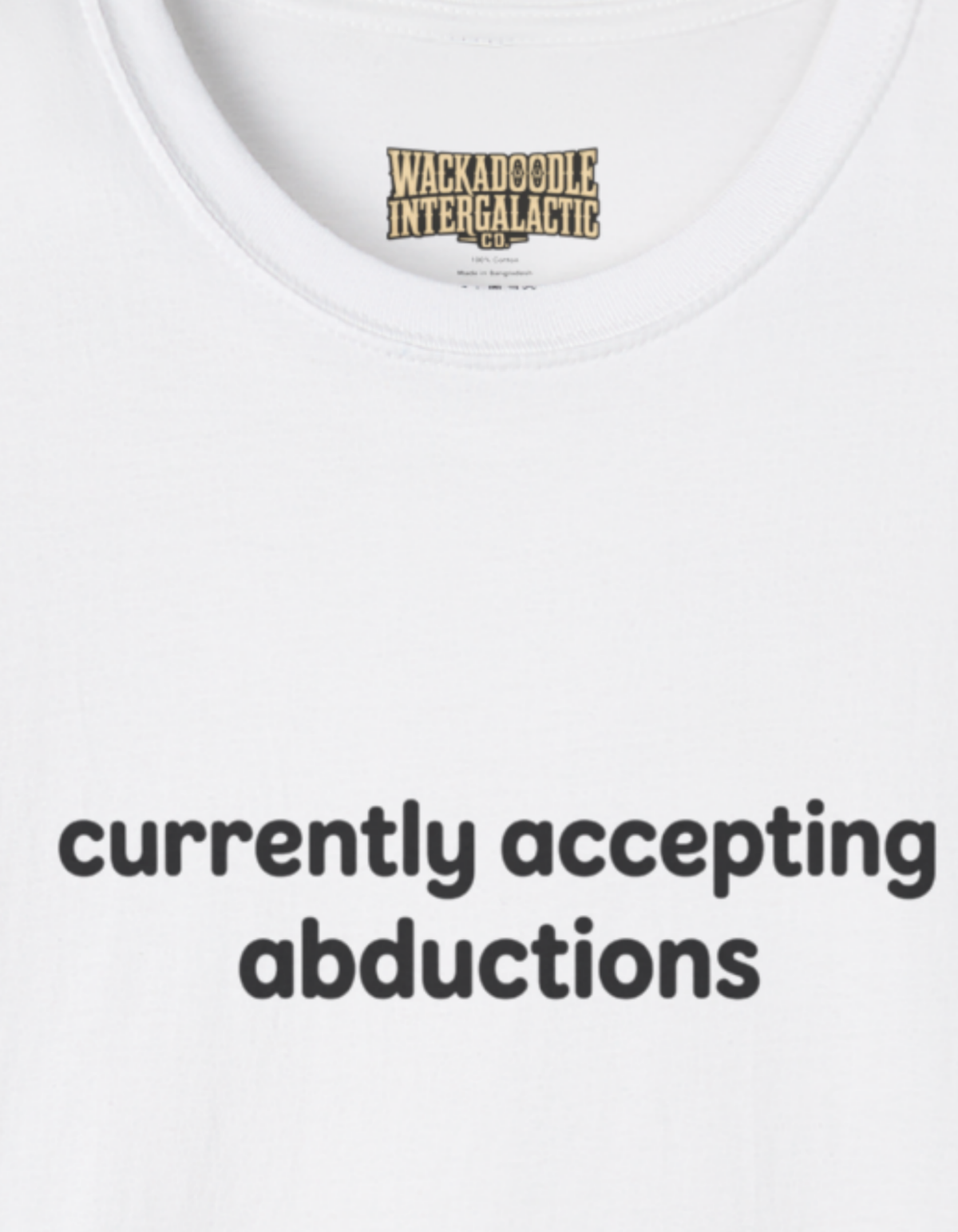 T-Shirt — "currently accepting abductions" Minimal Funny Graphic Tee