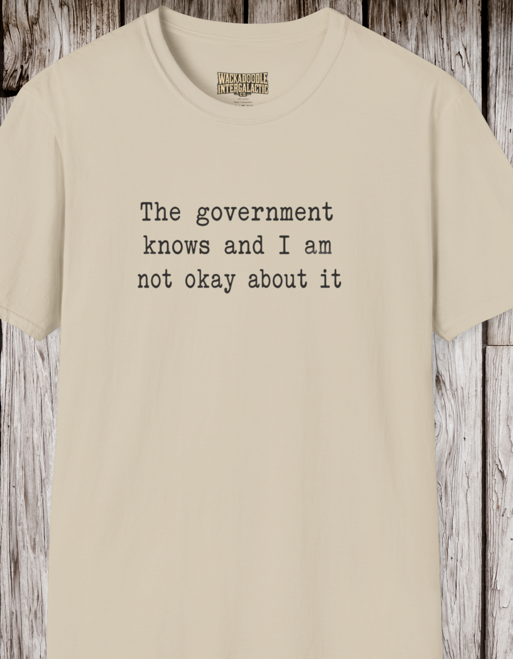 Statement T-Shirt — “The government knows and I am not okay about it” Tee