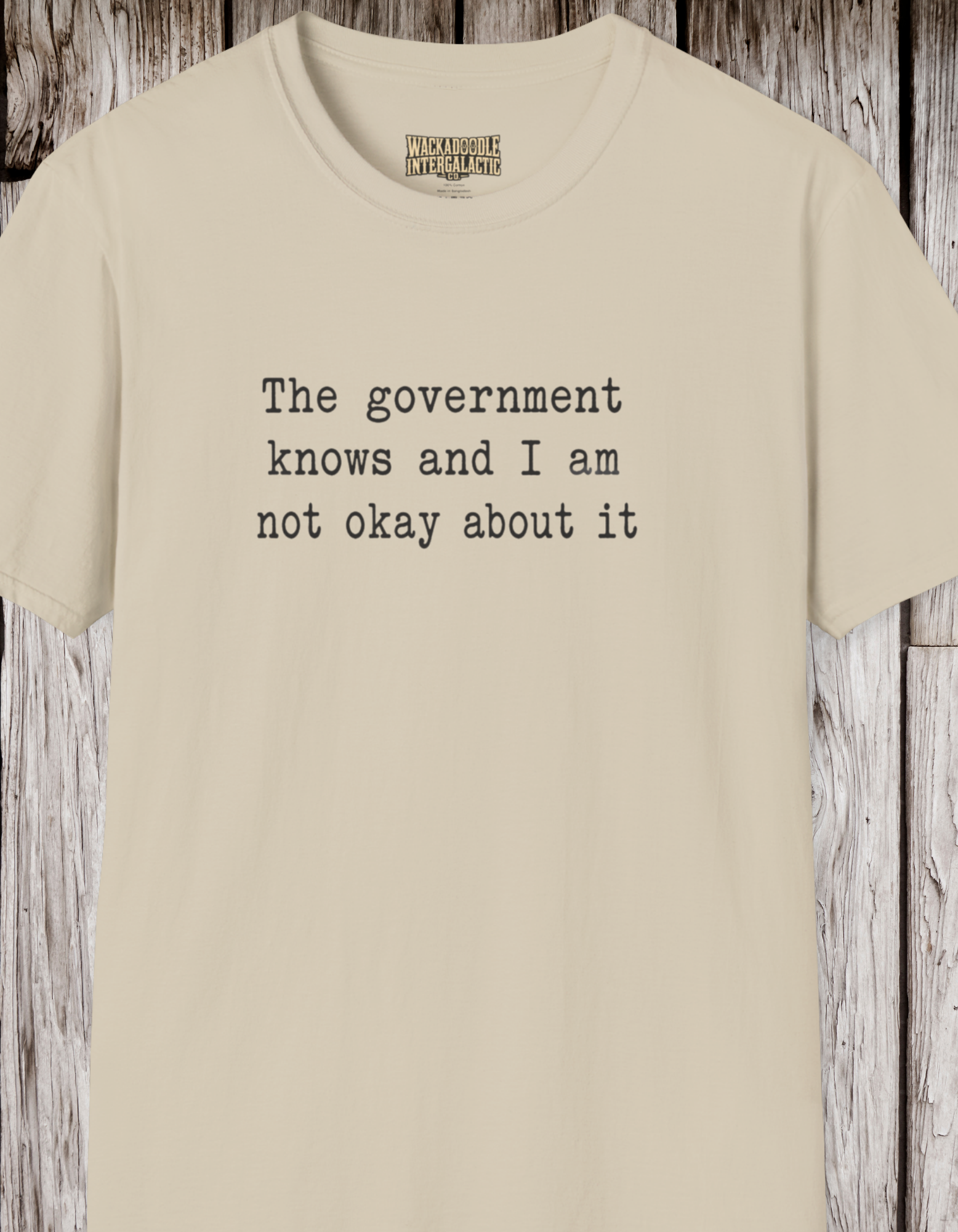 Statement T-Shirt — “The government knows and I am not okay about it” Tee
