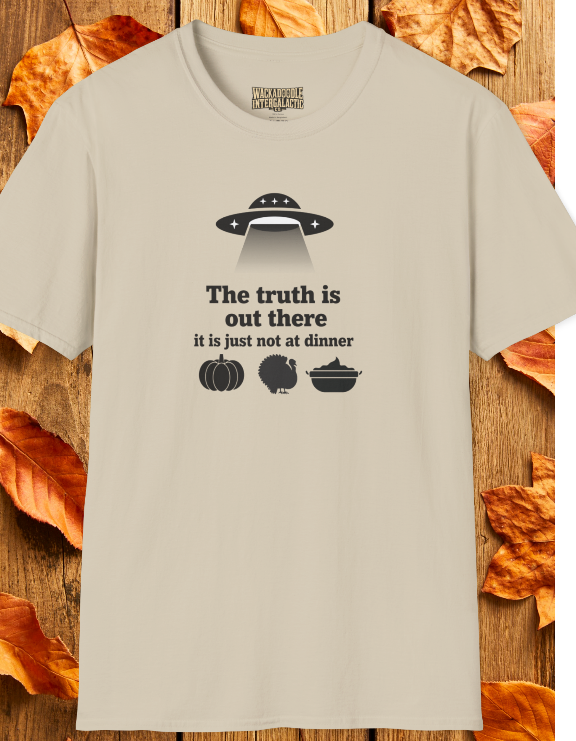 Alien UFO T‑Shirt — “The truth is out there” Funny Holiday Fall Sci‑Fi Tee