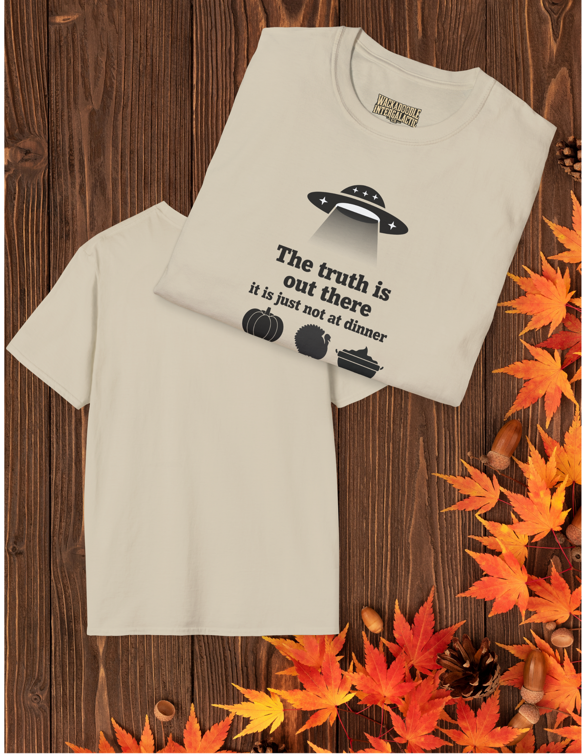 Alien UFO T‑Shirt — “The truth is out there” Funny Holiday Fall Sci‑Fi Tee