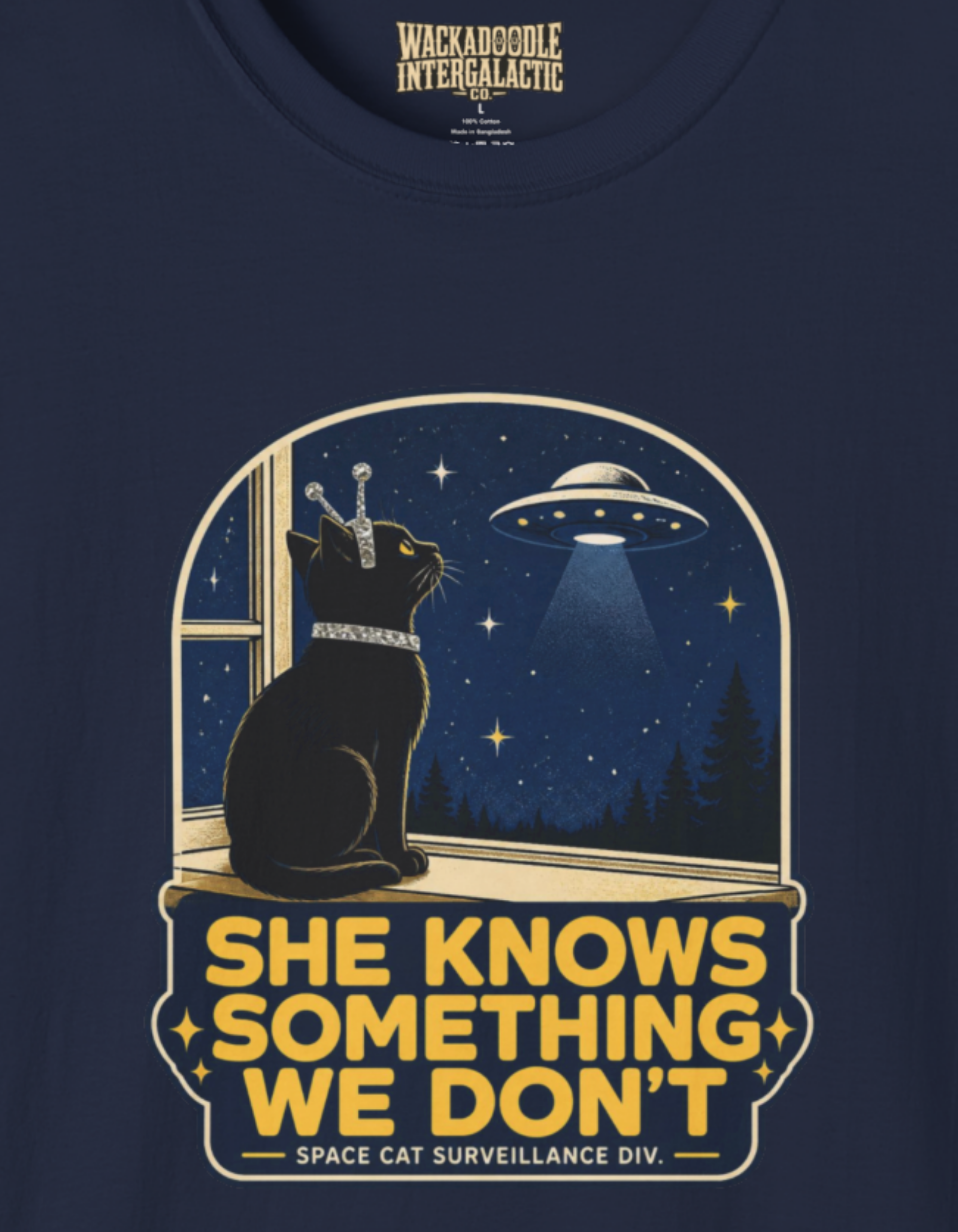 Cat Watching UFO T‑Shirt — "She Knows Something We Don't" Retro Alien Graphic