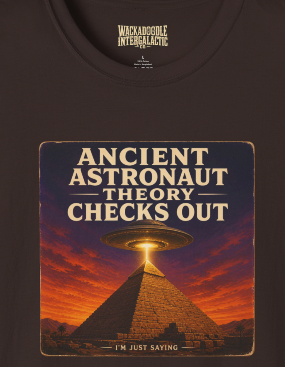 Ancient Astronaut Theory Checks Out T-Shirt
