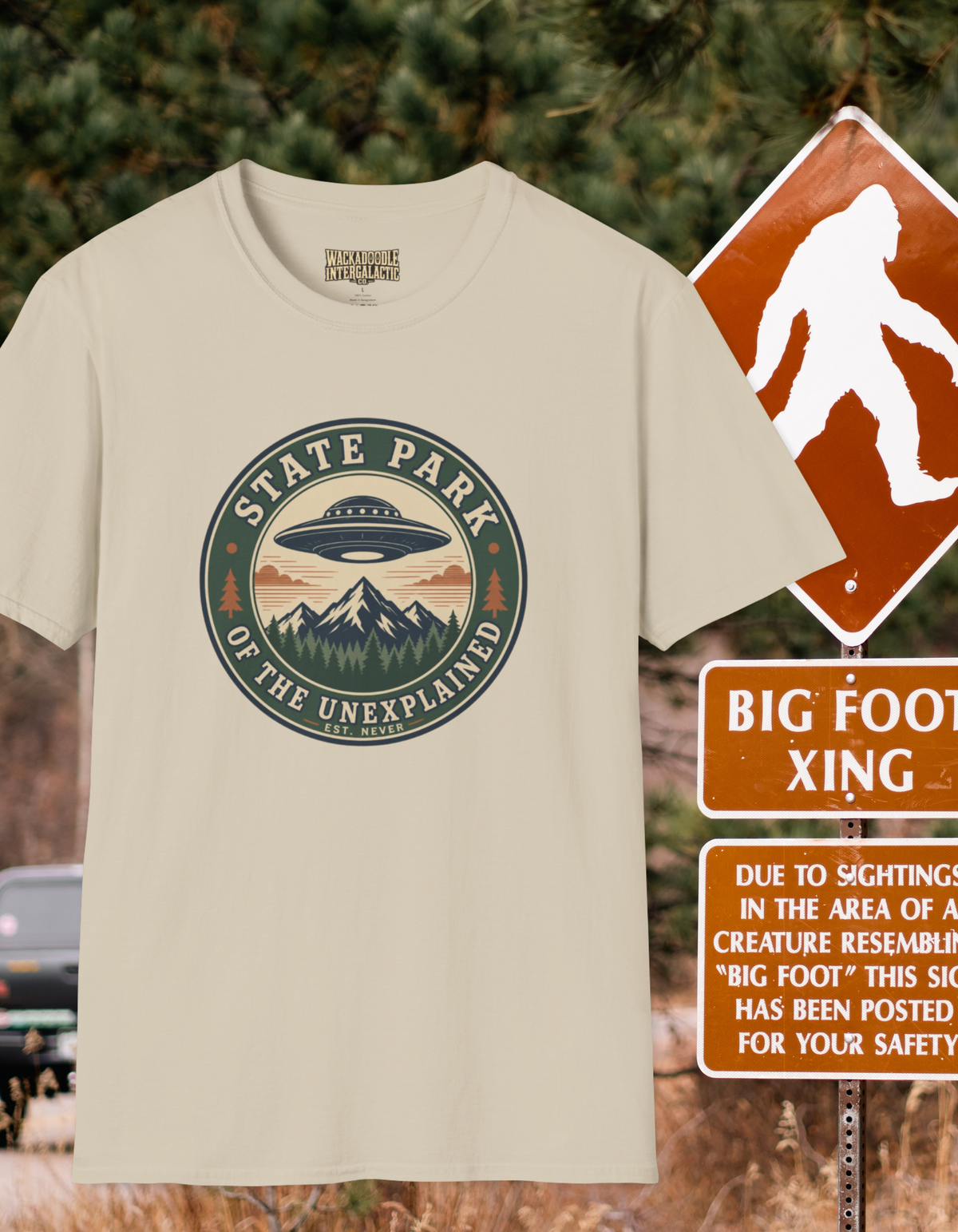 State Park of the Unexplained T-Shirt — Retro UFO Mountain Badge Tee