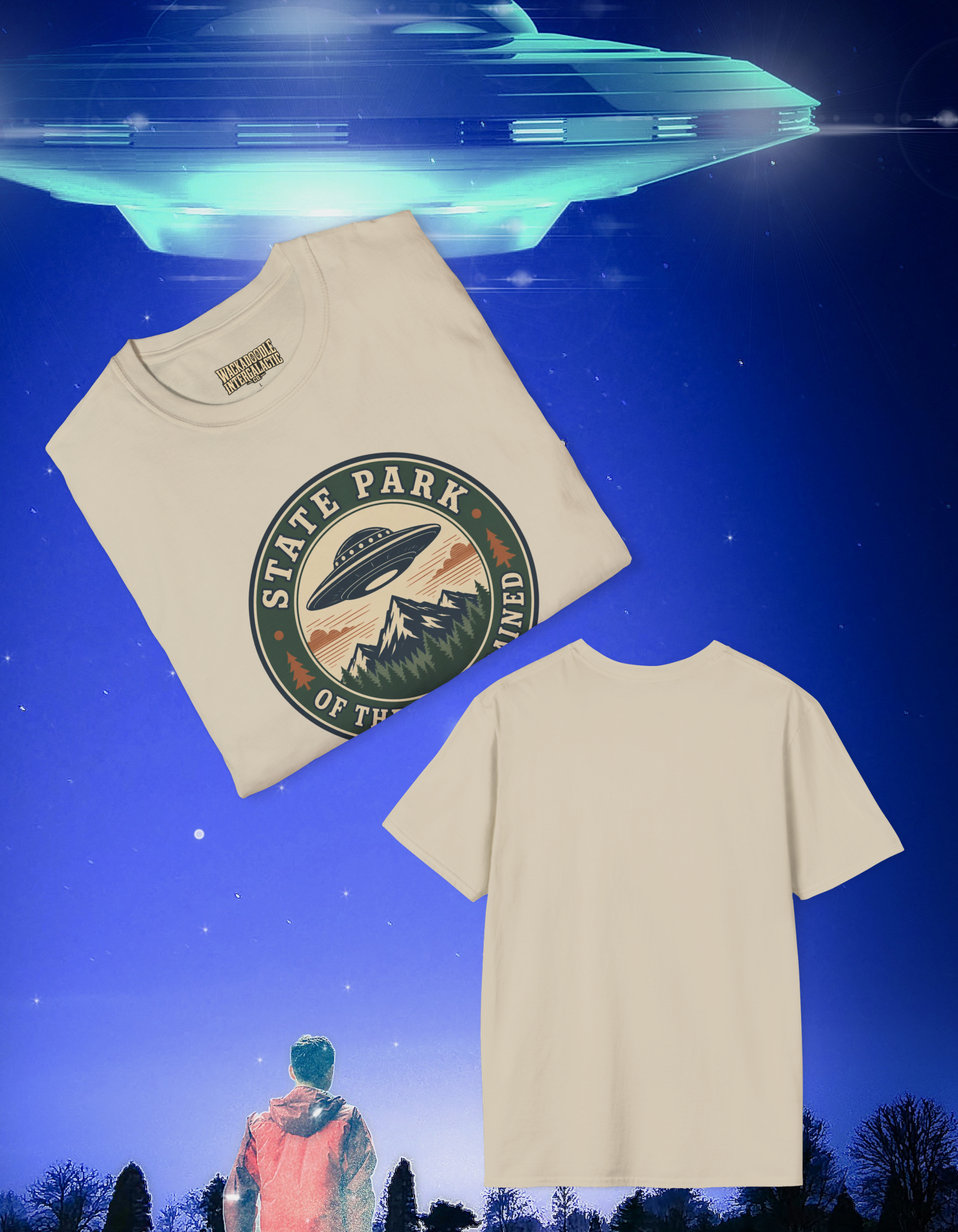 State Park of the Unexplained T-Shirt — Retro UFO Mountain Badge Tee