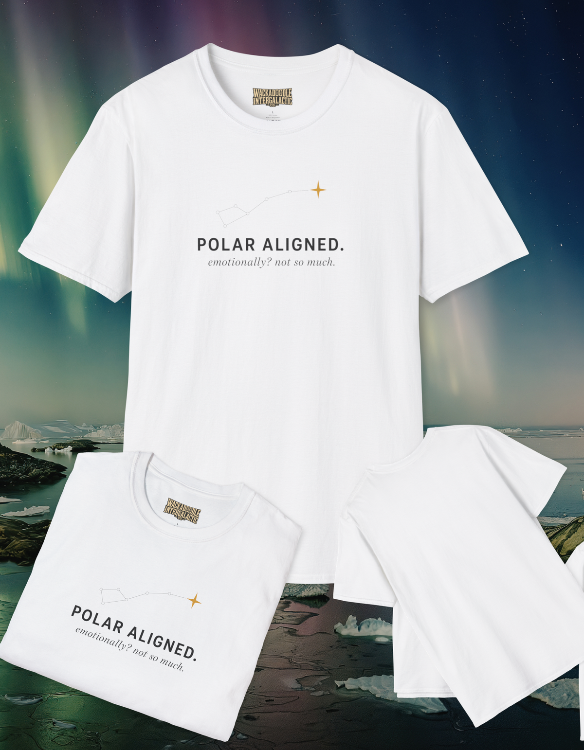 Polar Aligned T-Shirt